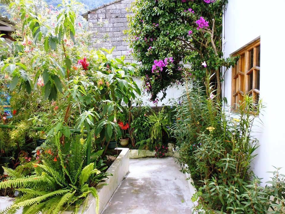 Hostal Timara Baños Extérieur photo