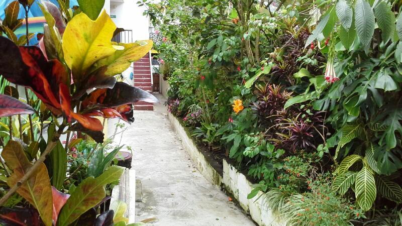 Hostal Timara Baños Extérieur photo